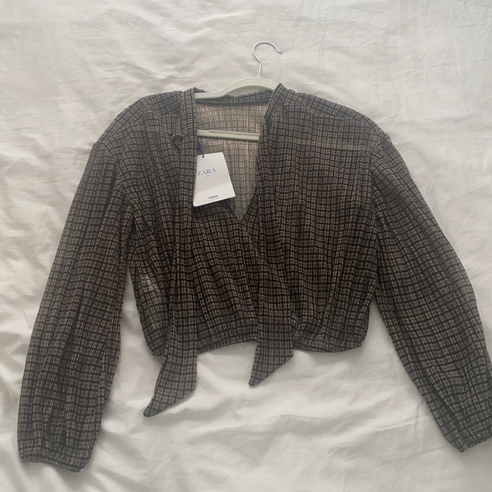 NWT Zara shimmery see through crop top